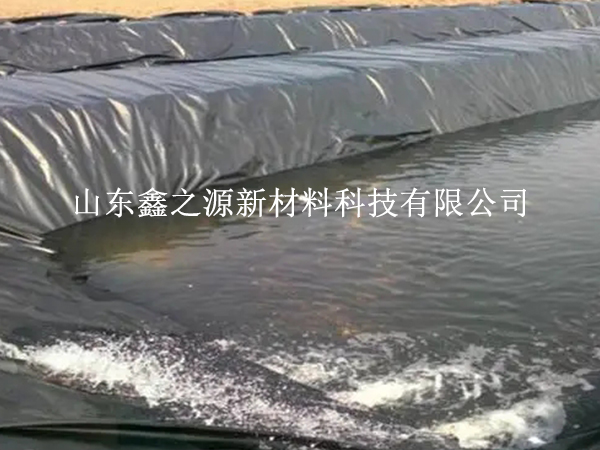 魚塘防滲膜的選擇需要考慮哪些要求？