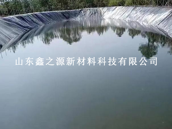 使用魚塘防滲膜，為魚兒打造優(yōu)質(zhì)生存環(huán)境