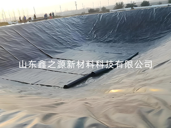 選擇防滲土工膜進行小龍蝦養(yǎng)殖有哪些要點技巧？